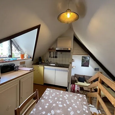 Apartamento Atypique Au Centre Du Lioran Pour 4 Personnes, Confort Et Charme - Fr-1-787-138