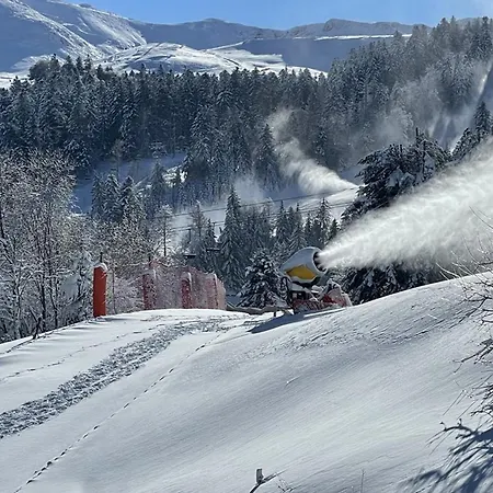 Atypique Au Centre Du Lioran Pour 4 Personnes, Confort Et Charme - Fr-1-787-138 Laveissière